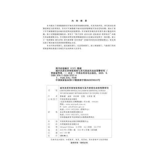 城市洪涝灾害智能预报与多尺度损失动态预警研究 商品图4