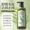 【甄选植物精萃❗️精华提纯古法养发】500ml大容量家庭装七味堂防脱洗发水侧柏叶生姜草本植萃。ja 商品缩略图2