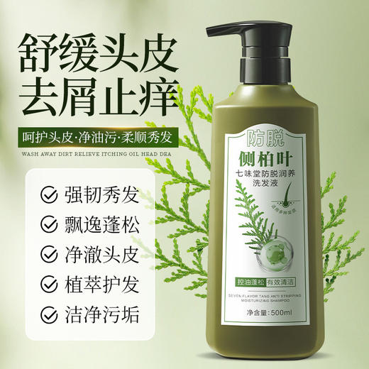 【甄选植物精萃❗️精华提纯古法养发】500ml大容量家庭装七味堂防脱洗发水侧柏叶生姜草本植萃。ja 商品图2