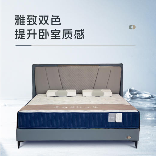 AF8809真皮床架 商品图1