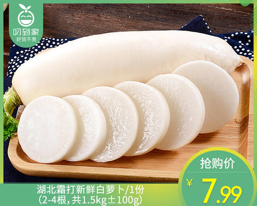 湖北霜打新鲜白萝卜/1份（2-4根，共1.5kg±100g） 商品图0