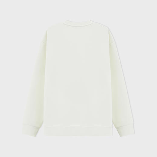 【新品上新】HX 冬季圆领卫衣S106540037101 商品图1