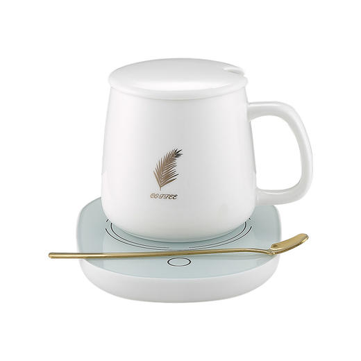 AIYOUTH艾青春55℃恒温暖暖杯PA-666 商品图1