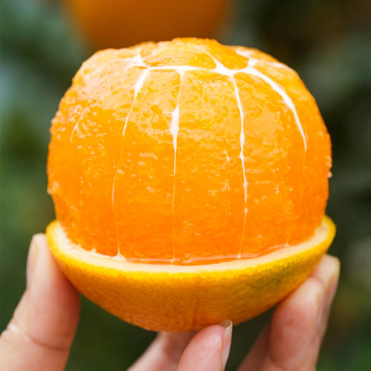 湖北秭归九月红脐橙 5-10斤装 京东直发 商品图5