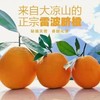四川凉山雷波脐橙新鲜现货现摘现发当季整箱10斤孕妇水果橙子 商品缩略图0