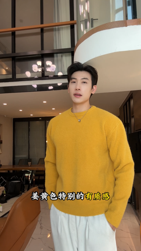 4668SDSA男士秋冬新款痞帅男装极简风纯色圆领毛衣百搭慵懒风针织衫