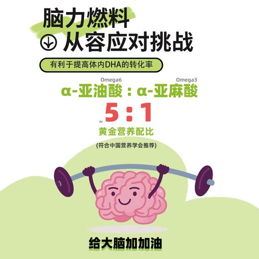 疆品聪达·核桃X博士特级初榨核桃油250ml  清香、温和、不涩 商品图4