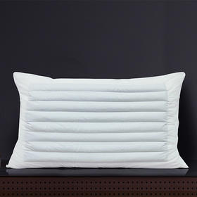 HZ荞麦枕芯 1250g 80*50cm