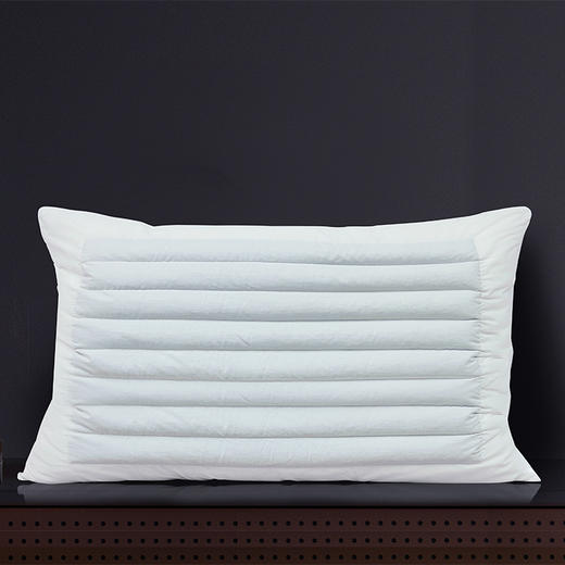 HZ荞麦枕芯 1250g 80*50cm 商品图0