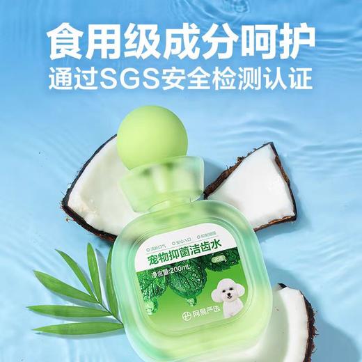 网易严选 宠物犬猫抑菌洁齿水200ml/瓶 商品图0