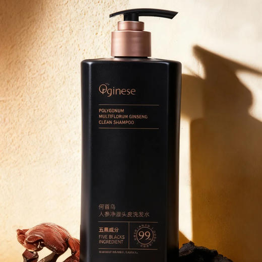 热卖！五黑植萃 滋养头皮 欧橘Orginese 何首乌人参净澈头皮毛囊洗发水 500ml/瓶 商品图1