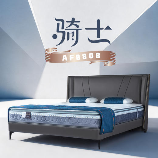 AF8808真皮床架 商品图0
