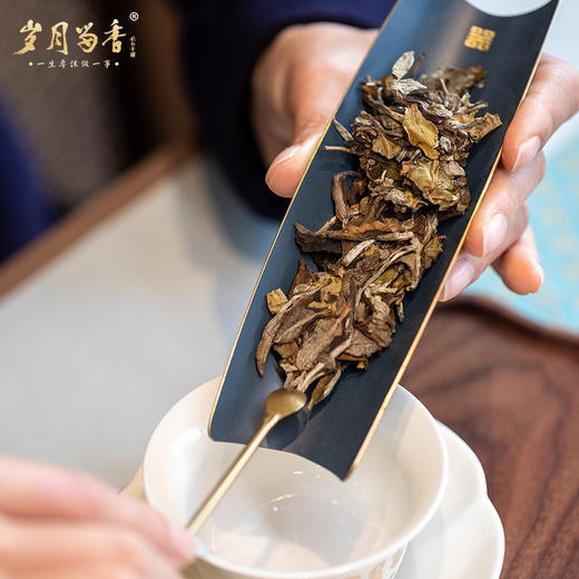 岁月留香·2022冰岛老树白茶贡眉 单饼 350g 商品图5
