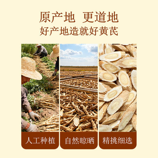 预售 黄芪 200克/罐 商品图4