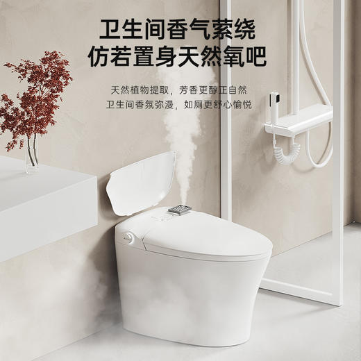 YP 智能马桶 商品图3