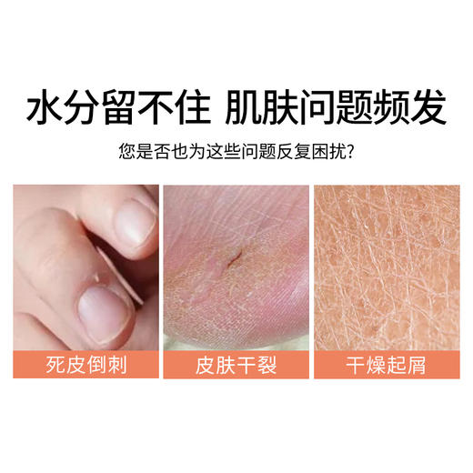 瓯咖妮马油舒缓保湿霜300g 商品图5