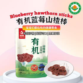 有机蓝莓山楂棒90g/袋|儿童零食棒棒糖水果条配料干净娃娃小吃