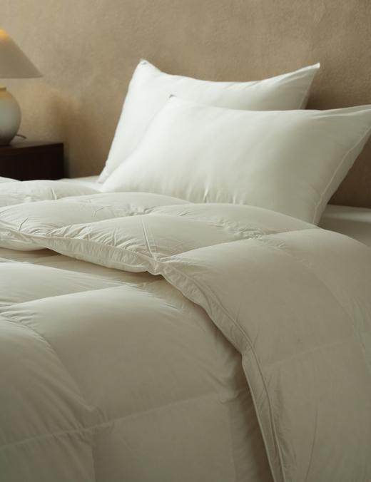 舒雅生活绒耀羽绒春秋被面料,55%棉,45%聚酯纤维,填充,100%白鸭绒（绒子含量90%）（M700g/L800g)12040277/12040278 商品图3