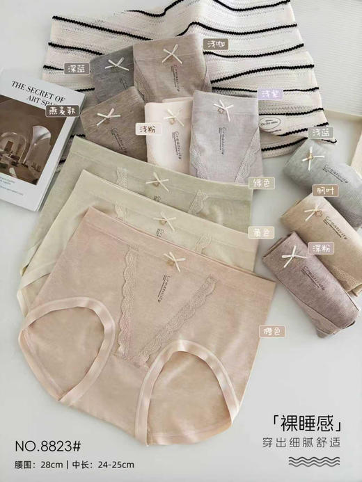 女士彩纱高腰收腹提臀高弹力无缝舒适内裤三角裤8823 商品图3
