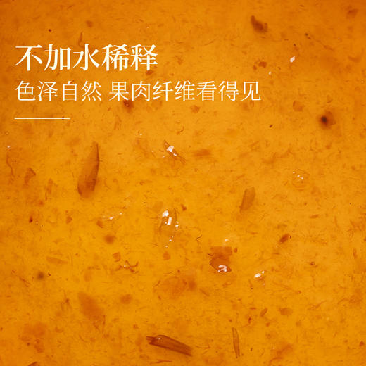 青梅酱广式酸梅酱烧鹅烤鸭叉烧酱蘸酱梅子酱水果酱沙拉酱调料蘸料 商品图2
