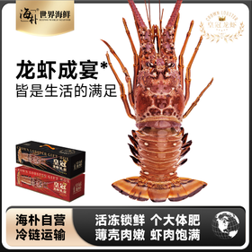【古巴】鲜冻龙虾礼盒装  多规格可选