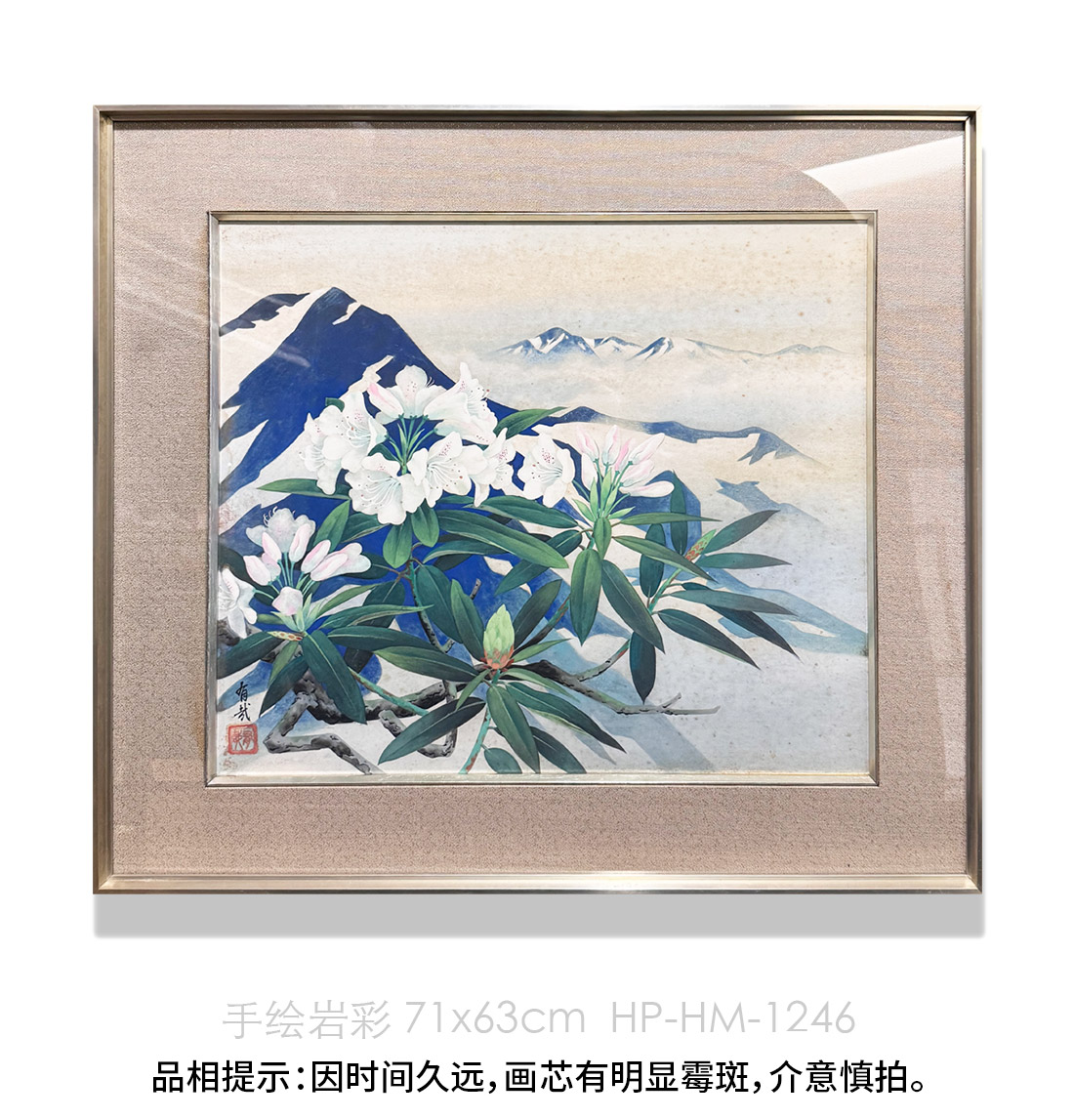 伽罗 JALO 中古画合集1（编号1191-1246）
