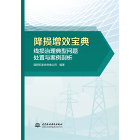 降损增效宝典：线损治理典型问题处置与案例剖析