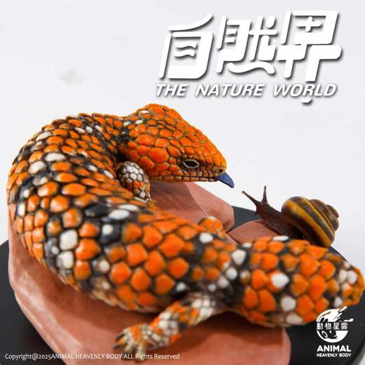 【预售】西部松果蜥 树脂模型摆件 自然界系列 手办潮玩 动物星云官方正版【★ 2026年2月初发货】 商品图2