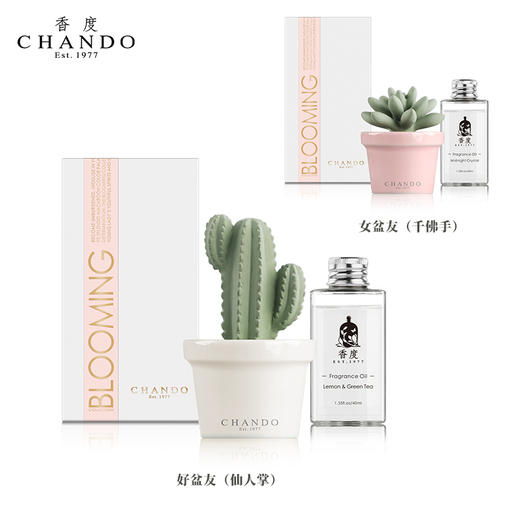 香度多肉陶瓷无火香薰 室内持久家用淡香熏香精油摆件 高级感礼物 商品图6