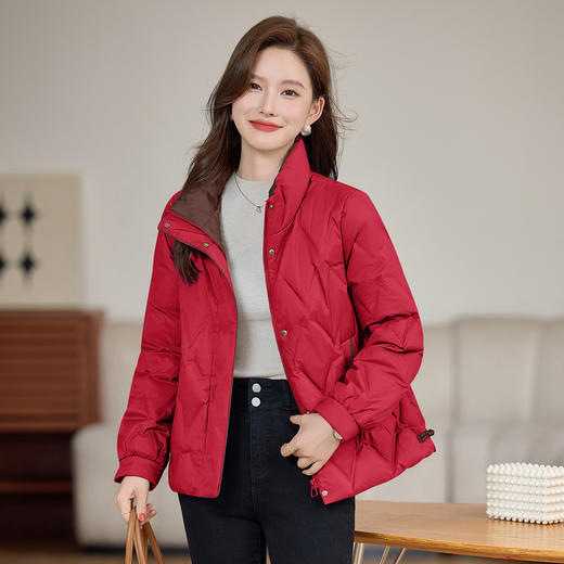 丁摩 气质立领羽绒服女冬季新款高级感盘扣宽松短款白鸭绒外套5ZF-9983 商品图2