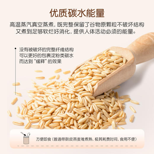 圃氏定律原粒燕麦膳食粥罐头 鹰嘴豆 红小豆 绿豆 亚麻籽 核桃 11种植物食材搭配 高膳食纤维/高β-葡聚糖 优质碳水 优质蛋白质 纯净配料 6罐/箱 商品图3