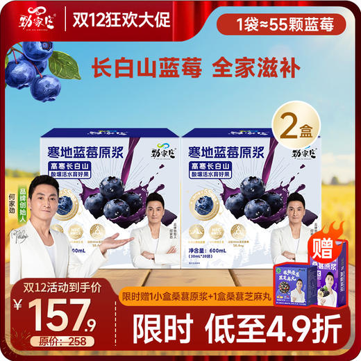 双12 寒地蓝莓原浆 30ml*20袋/盒 商品图1