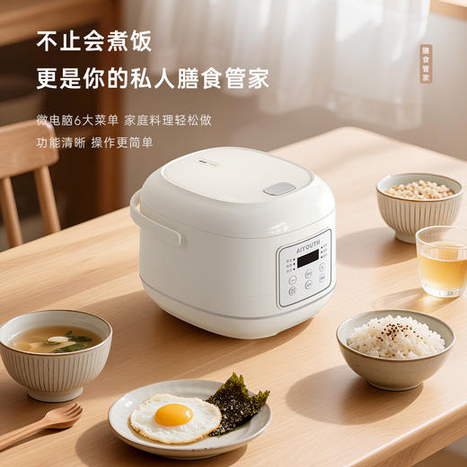AIYOUTH艾青春4L电饭煲AI-FB408 商品图1