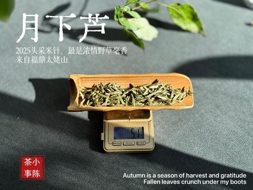 【好茶来了】2025头采米针《月下芦》，毫香浓郁，汤水稠润，浓浓芦荻毫香，诗经里的野草们有了现实的具象~~ 商品图4