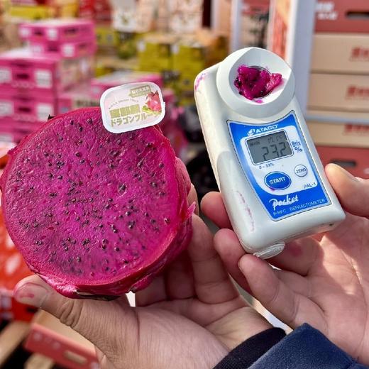 蜜麒麟~红心火龙果【净重约5斤】 商品图6