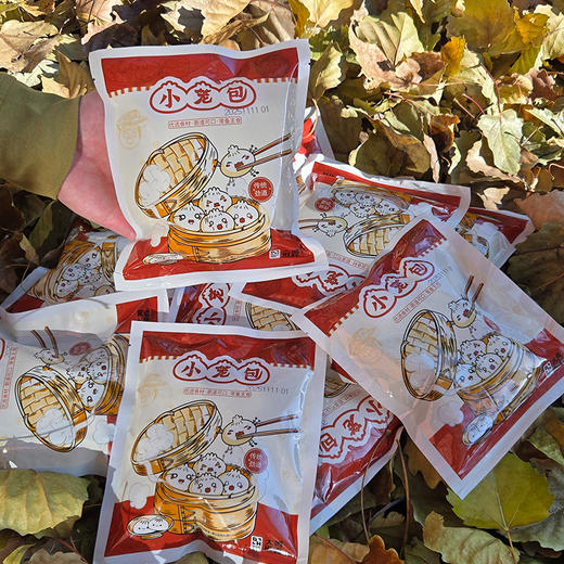 大黄鲜森 老面鲜肉小笼包素什锦包荠菜鸡蛋小笼包快速早餐方便速食 商品图4