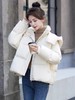 155g蓬松保暖【羽绒服】韩系连帽绗缝爆款蓬松百搭短款羽绒服-喜出 商品缩略图0