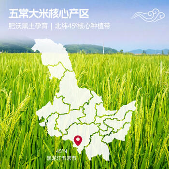 甬粮超凡五常大米5kg五常稻香米10斤装东北大米 当季新米25年新米 /粮油调味 /米 /稻花香米 商品图2