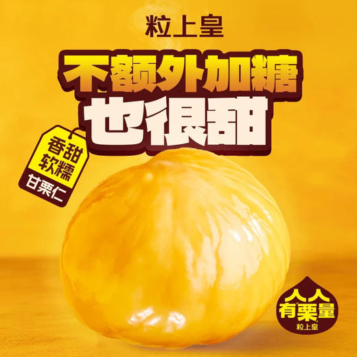 粒上皇珍小栗100g 商品图1