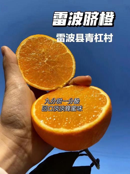 四川凉山雷波脐橙新鲜现货现摘现发当季整箱10斤孕妇水果橙子 商品图2