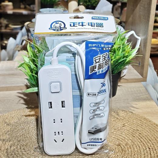 正牛1841-3M带USB安全门插座 商品图0
