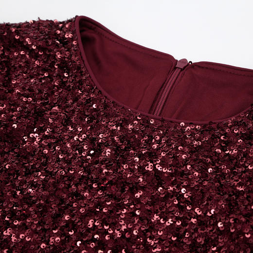 QG807斯尔丽25新款宴会喜妈妈亮片拼素色奢华简约腰线上抬显高连衣裙 商品图5