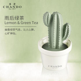 香度多肉陶瓷无火香薰 室内持久家用淡香熏香精油摆件 高级感礼物