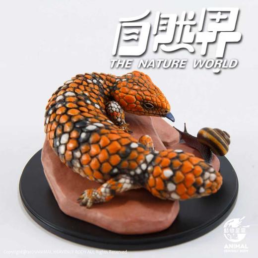 【预售】西部松果蜥 树脂模型摆件 自然界系列 手办潮玩 动物星云官方正版【★ 2026年2月初发货】 商品图1