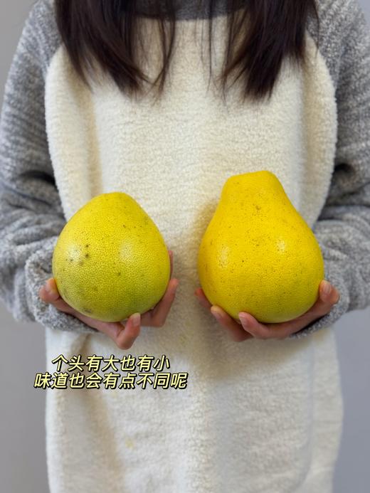 【高山老树药柚   脆爽爆汁】润燥解腻  独特柚香  初期脆爽爆汁 久放细嫩多汁微微苦 商品图3