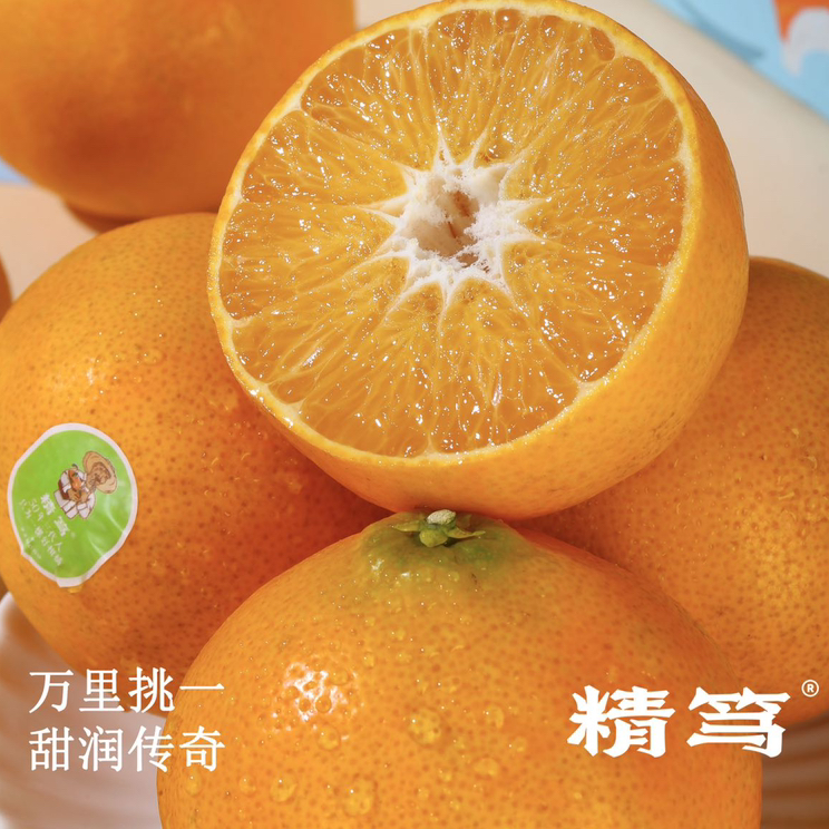 石家庄优选仓库速达，精笃&柑橘川津1号 ，黄金酸甜，脆嫩化渣，嫩如果冻，浓郁风味，首年登场，极少产量，短尝鲜期！