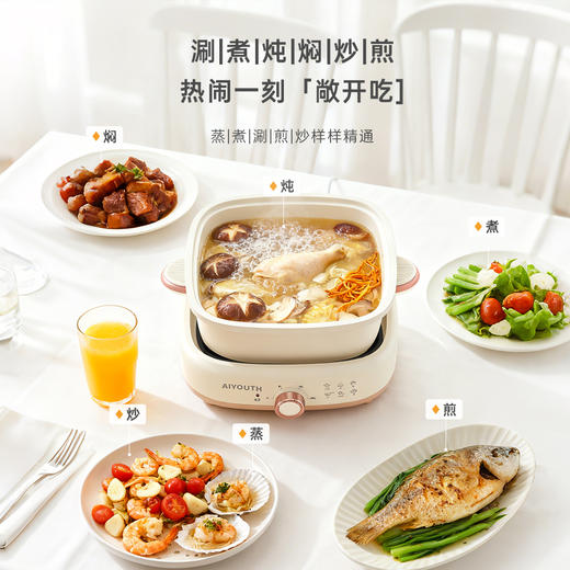 AIYOUTH艾青春5L多功能分体电火锅AI-HG666 商品图1