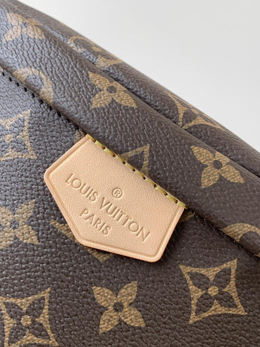 秋冬特惠💰1160 渠道级LV【全钢五金 变码芯片】te级LV 全套包装 M43644老花 男士腰包斜挎包 商品图4