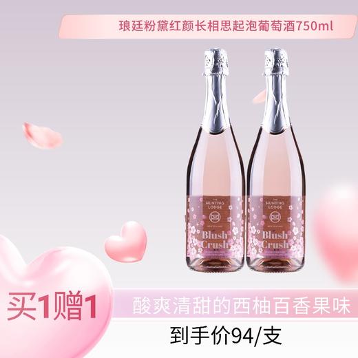 琅廷粉黛红颜长相思起泡葡萄酒 商品图8