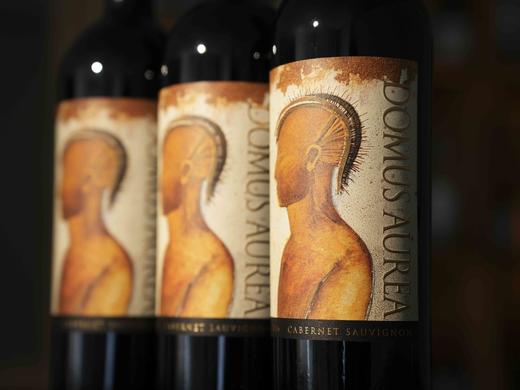 【智利车库酒一哥】智利十八罗汉2016年金色圣殿干红 商品图5